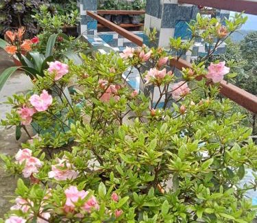 Ghoom Apartment | Pranav Home - Stay