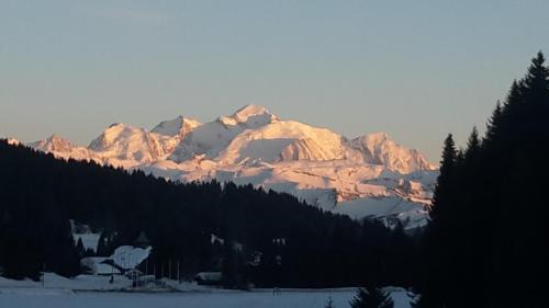 Le Praz de Lys Apartment | Prazdelys