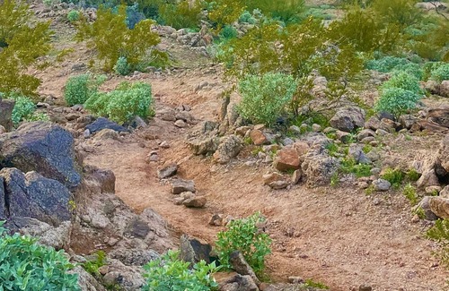 Estrella Mountain Ranch House | Premium lot. Mountain views. Beautiful landscaping and outside living.