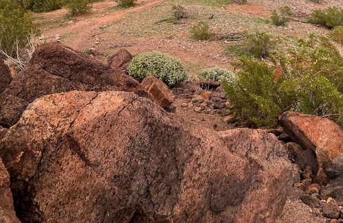 Estrella Mountain Ranch House | Premium lot. Mountain views. Beautiful landscaping and outside living.