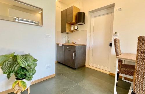 Alba Apartment | Presanella 22