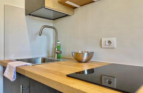Alba Apartment | Presanella 22