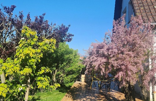 Wissant Villa | Pretty renovated villa with sea view, a few steps from the beach.