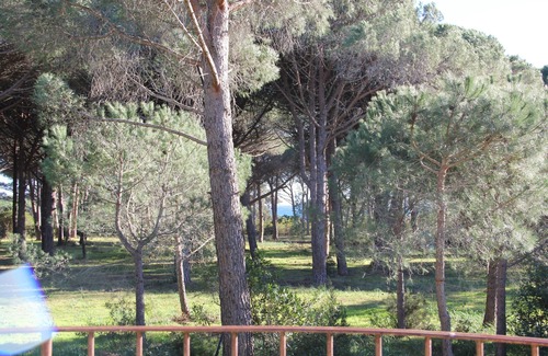 Hameau de Palombaggia House | Pretty seaside house - Palombaggia beach 150 m awayPrivate access