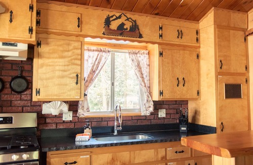 Big Bear Lake House | PRIME Location~Walk to Ski Shuttle ~ Fully Fenced ~ EV Charger ~ Mini Sled Hill