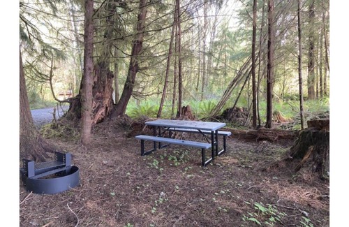Forks RV Rental | Primitive Tent Site #6- Beautiful Forested Property