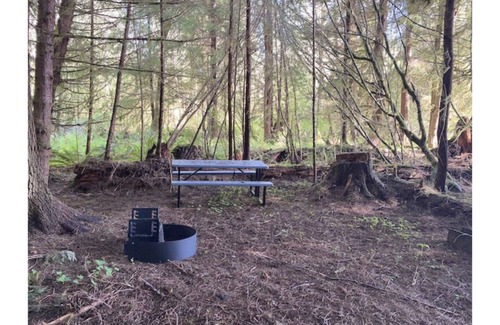 Forks RV Rental | Primitive Tent Site #6- Beautiful Forested Property