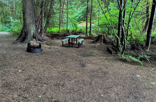 Forks RV Rental | Primitive Tent Site #6- Beautiful Forested Property