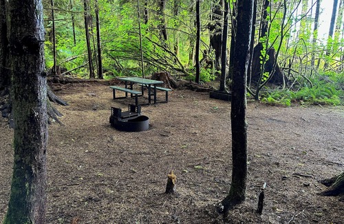 Forks RV Rental | Primitive Tent Site #6- Beautiful Forested Property