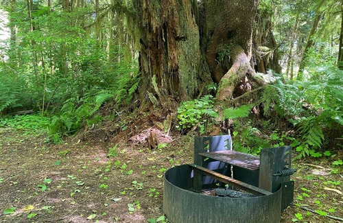 Forks RV Rental | Primitive Tent Site in Enchanted Rain Forest - Site #18
