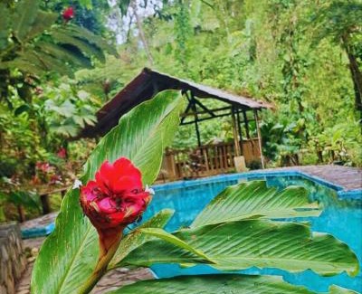 Penas Blancas Cabin | Princesa de la Luna Ecolodge
