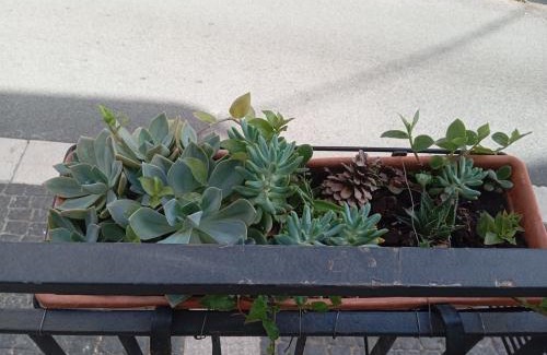 Contursi Terme Apartment | Principe Umberto