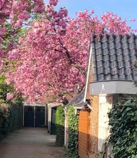 Sassenheim House | Prins Heerlijk