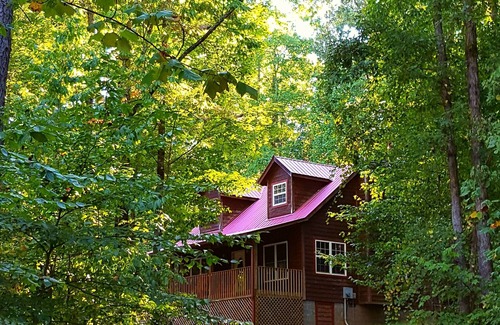 Sautee Nacoochee Cabin | Privacy in the Mountains - King Beds, Firepit, New hot tub with speakers!