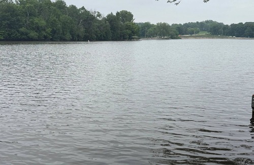 Rochester House | Private 5 BR/4 Bath home on Lake Zumbro w/amazing vistas nearby Mayo Clinic