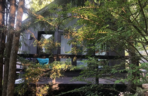 New Preston House | Private Annex/Former Artist Studio