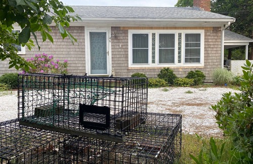 South Dennis House | Private beach on saltwater pond, dog friendly 4BR in secluded neighborhood.
