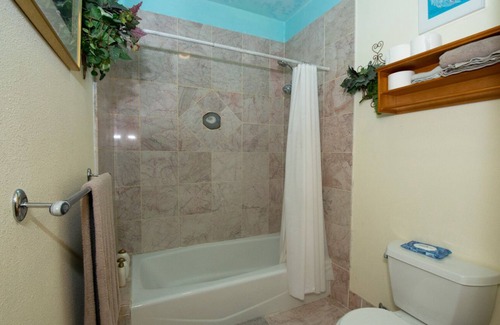 Bear Valley Bed & Breakfast | Private bedroom bath suite in large home, co-op kitchen Den Dog Ok
