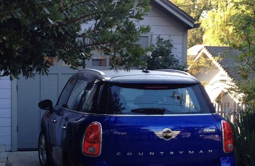 Grass Valley Cottage | Private cottage. Walk to town. Quiet neighborhood.