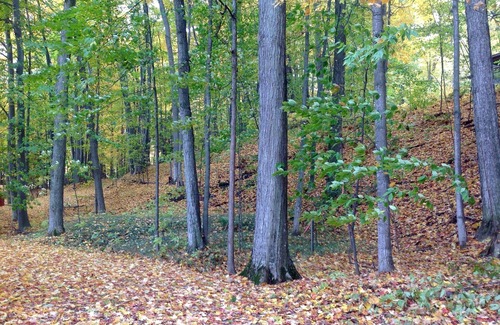 Kewadin Cottage | Private, Cozy Cottage On Torch Lake!