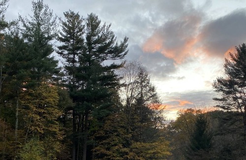 Salisbury Cabin | Private creek side farm stay — walkable to Salisbury