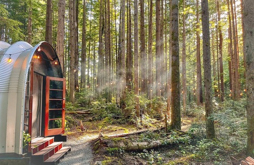 Southworth Cabin | Private Forest Glamping Cabin in Beautiful Port Orchard
