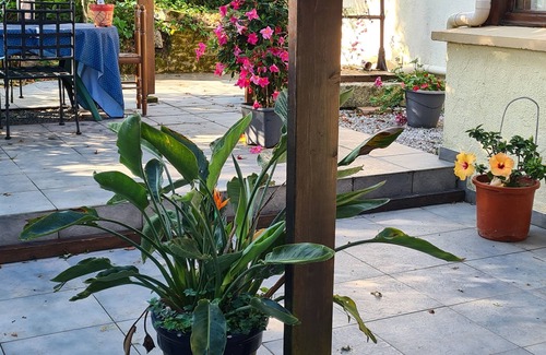 Breuil-Barret House | Private heated pool, a haven to share with friend and family, secluded location.