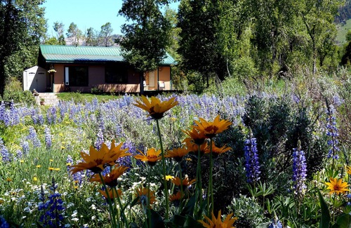 Bedford House | Private home, creek, pond, serene, quiet, breathtaking landscape