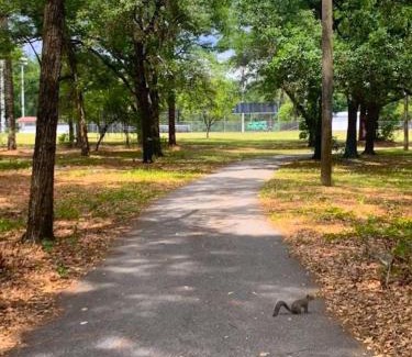 Ocala House | Private Home in Ocala with Fenced Yard, Piano, Central Location, Pets Welcome