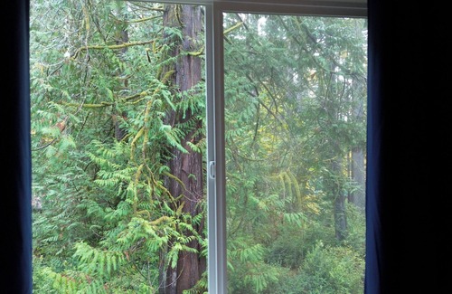 Burley House | Private Hot Tub | Brand New! Walk to beach