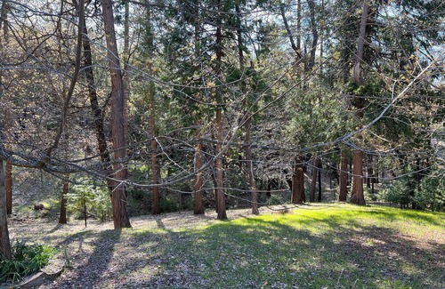 Twain Harte House | Private Mountain Getaway! October Special Rates!