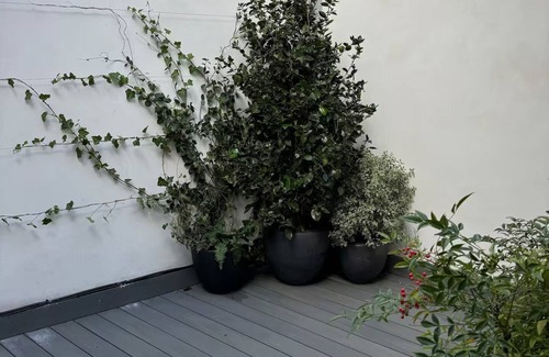 Saint-Thomas-d'Aquin Apartment | Private,Peaceful,Perfect–A Bright Hideaway in St Germain’s Beaupassage,Rue duBac