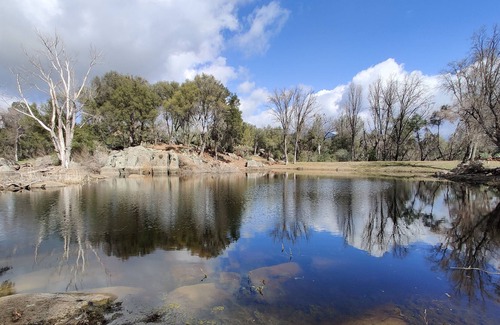 Mariposa Cottage | Private pond, bbq, close to Yosemite.