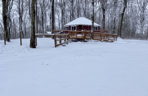 Meadows Of Dan House | Private, romantic 720 ft yurt on dead end road 3.5 miles from Blue Ridge Parkway