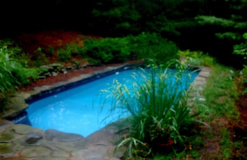 Northwest Harbor Cabin | Private Rustic Lodge on 3.5 acres - Ideal for relaxing and the Holidays