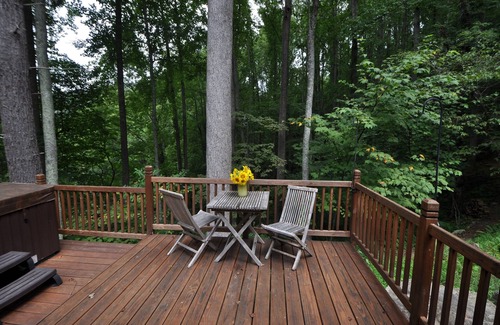 Hot Springs Cabin | Private Secluded Cabin with Hot Tub