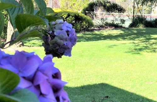 Sutton Forest House | Private Suite in Resort Estate: pool/spa/tennis/billiards/fireplace/sauna/cellar