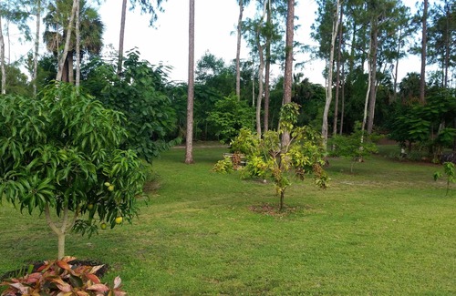 Oakes Estates Apartment | Private Suite on 3 Acres in North Naples!