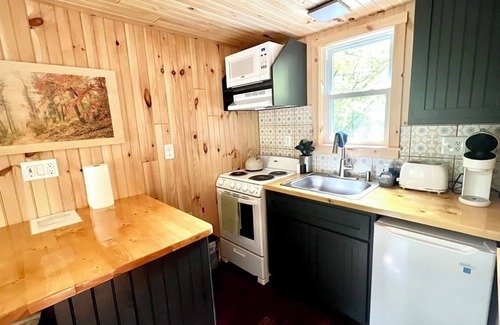 Dailey Cabin | Private Tiny Cabin/Mountain Hiking/National Forest!