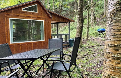 Dailey Cabin | Private Tiny Cabin/Mountain Hiking/National Forest!