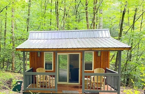 Dailey Cabin | Private Tiny Cabin/Mountain Hiking/National Forest!