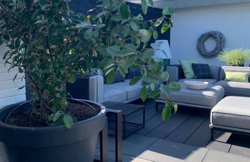 Egmond aan Zee Villa | Private Villa 5 minutes from the beach.