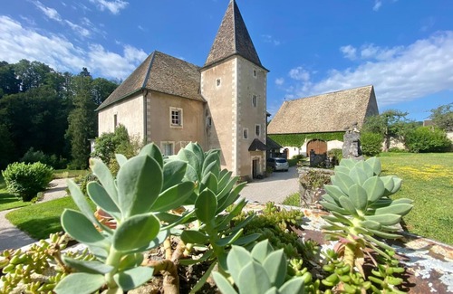 Scey-Maisieres House | PROMOTION - Luxury 16th century Chateau - private river - 25 pax