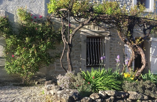 Grignan House | Provencal mas tt comfort with a clear view on the Mont Ventoux pool