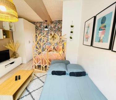 Provins Apartment | Provins au coeur du quartier historique - Charmant studio pour 2