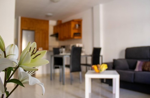 Playa San Juan Apartment | PUESTA DE SOL RENTALS 3DR