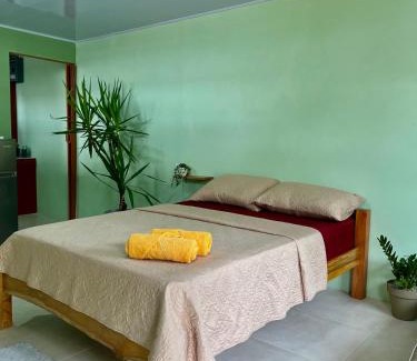 Puerto Jimenez House | Pura Vida Estudio