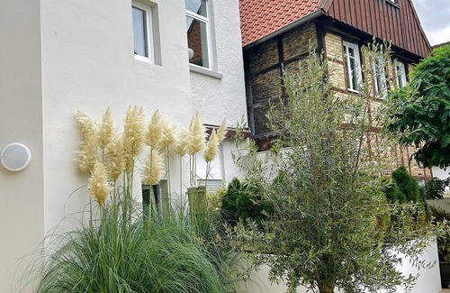 Burgsteinfurt Apartment | Pure Highlight Living 9 - Steinfurt vacation apartment