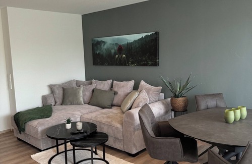 Schonach im Schwarzwald Apartment | Pure relaxation in the terrace park