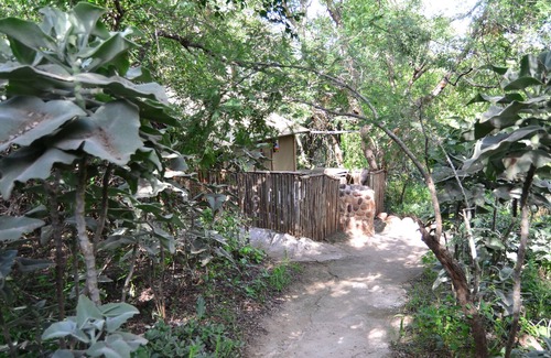 Thorny Bush Game Reserve House | Pure wilderness in Amanzimlotzi Riverside Bush Tent in Limpopo, Kruger Park